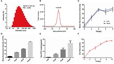 Macrophage-Targeted Lung Delivery of Dexamethasone Improves Pulmonary Fibrosis Therapy via Regulating the Immune Microenvironment